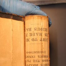 2021.3.89 Boericke Spine Damage