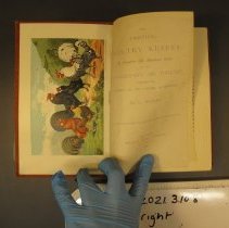 2021.3.108 Wright Interior Chicken Art