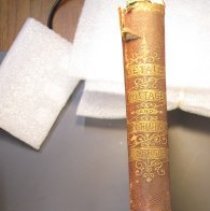 2021.4.37 Bicknell Spine