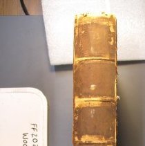 2021.4.40 Wood Spine Condition