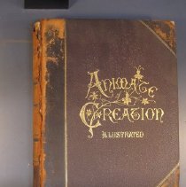 2021.4.40b Wood Cover