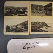 2021.4.42 Reynolds Photo 3