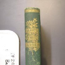 2021.3.64 Barry Spine