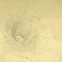 2021.8.1 Birds Nest