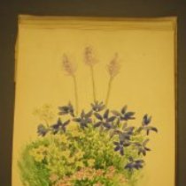 Mc2021.1.4 Sketches Pg 17