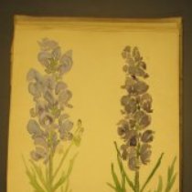 Mc2021.1.4 Sketches Pg 18