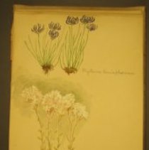 Mc2021.1.4 Sketches Pg 19