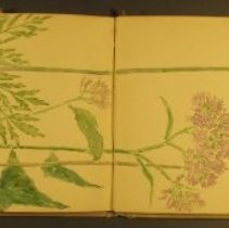 Mc2021.1.4 Sketches Pg 20