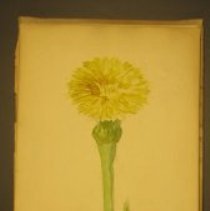 Mc2021.1.4 Sketches Pg 21