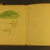 Mc2021.1.4 Sketches Pg 3