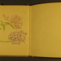 Mc2021.1.4 Sketches Pg 5