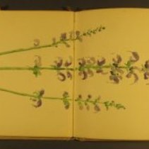 Mc2021.1.4 Sketches Pg 6