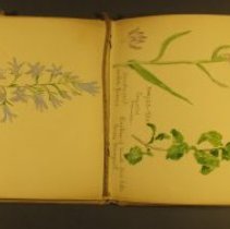 Mc2021.1.4 Sketches Pg 10