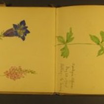 Mc2021.1.4 Sketches Pg 7