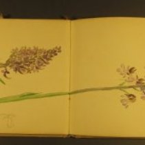 Mc2021.1.4 Sketches Pg 8