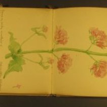 Mc2021.1.4 Sketches Pg 9