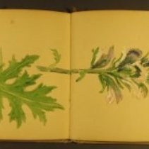 Mc2021.1.4 Sketches Pg 12