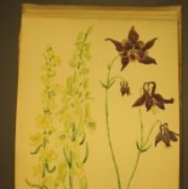 Mc2021.1.4 Sketches Pg 16