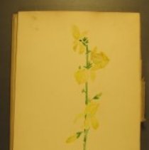 Mc2021.1.4 Sketches Pg 1