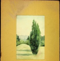 Bb2021.4.4 Matted Watercolor Fern