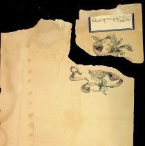 Bb2021.4.5 Tear Conditio