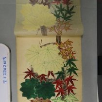 Botanical illustrations, handpainted over printing, tissue, bound