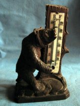 Bear with Thermometer