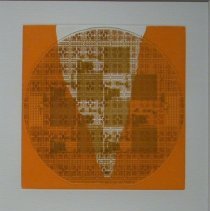 Opening the Kimono (Coral)