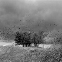 East of Knoxville (Near Jefferson City), TN