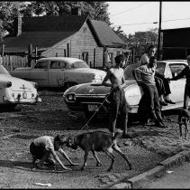 Lyon Untitled (Young Boy Fighting "Goat-Dog"), 1967