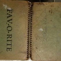 Sketchbook 4 (Fav-O-Rite Spiral, green, large)