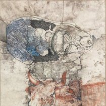 A Study in Organic Metamorphosis