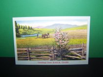 Linen postcard from Eagle Drug Store