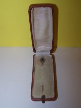 Aikens family lapel pin