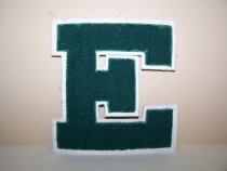 Large dark green EHS insignia