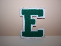Small kelly green EHS insignia