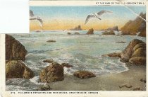 Postcard to Mrs. Frank Mace (Josie) from her friend Freda