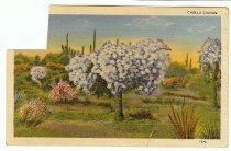 Postcard to Josie from Nora