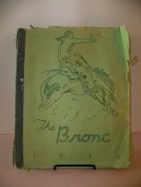 Early Eagle High School baseball catcher's mask