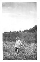 Toddler on Rogers Farm