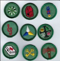 Patch, Insignia