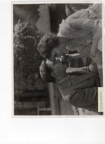 Shadows of Suspiscion