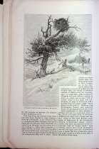 New Harpers Monthly Magazine, No. CCCXLVIIL- May, 1879- Vol. LVIII