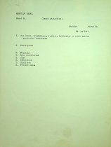 Parramore Beach Coast Guard Report