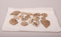 Ceramic sherd