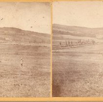 Brigham stereoview - Nelson Chase in a field