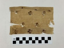 Fabric, Cloth (fragment)