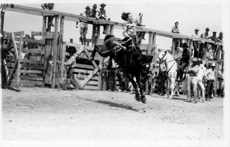 Image of Postcard