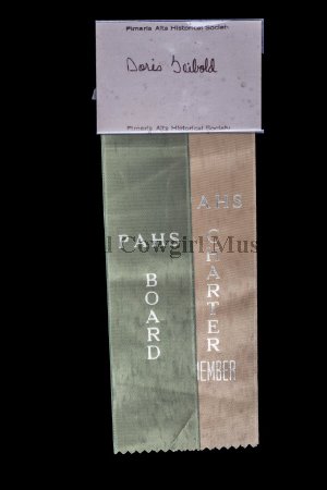 Image of Badge, Identification