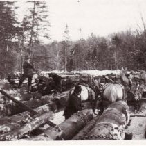 Unloading logs at Snell lumber camp, c. 1904